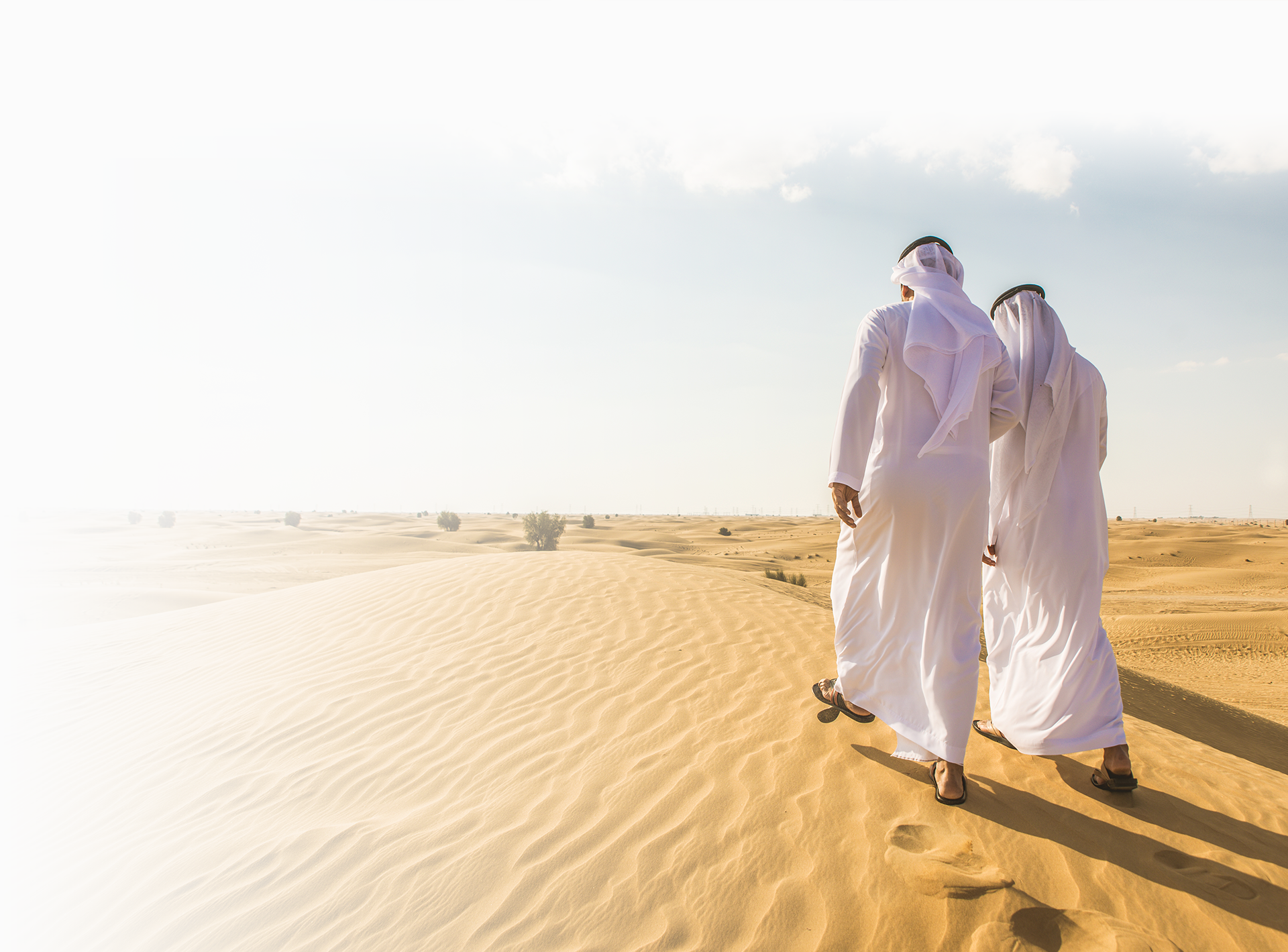renew your uae visa with top visa consultants and service providers in dubai